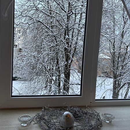Cozy Studio Apartment In The Center Of Рига Екстер'єр фото